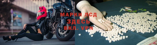 крисы Дмитров