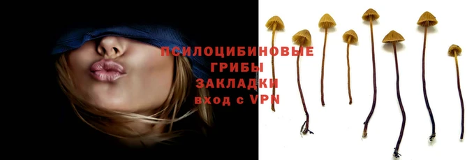 кокаин колумбия Гусев